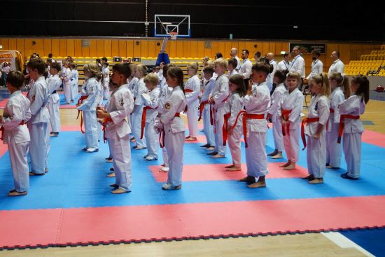 Sukces Pracowni Karate