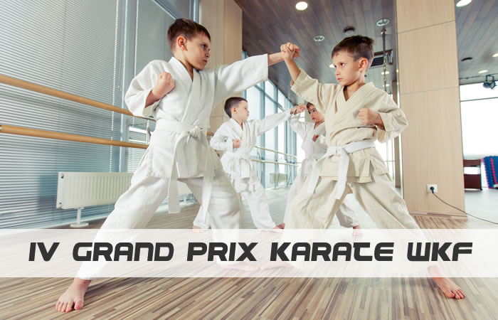 IV GRAND PRIX KARATE WKF LĘBORK 